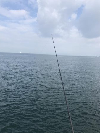 夜釣りからの朝マズメ