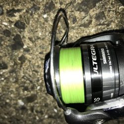 7月29日本命ボウズ