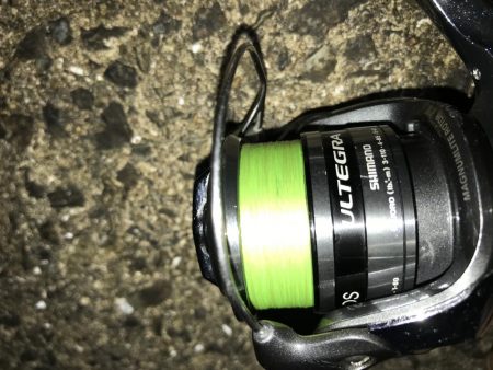 7月29日本命ボウズ