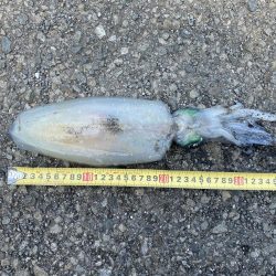 大きくなーれ！