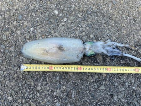 大きくなーれ！