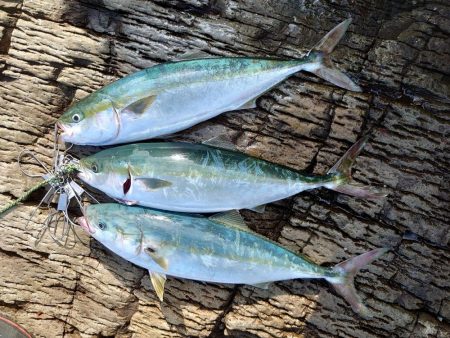 8か月ぶりの釣果