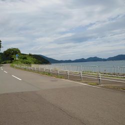 ちょい投げで狙う小魚