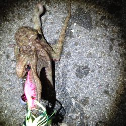 オクトパッシング