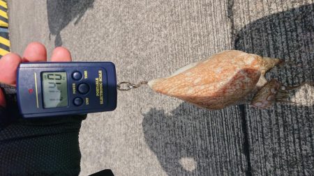 久しぶりのキロup