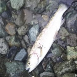 リヴァスポット早戸