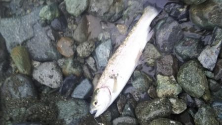 リヴァスポット早戸