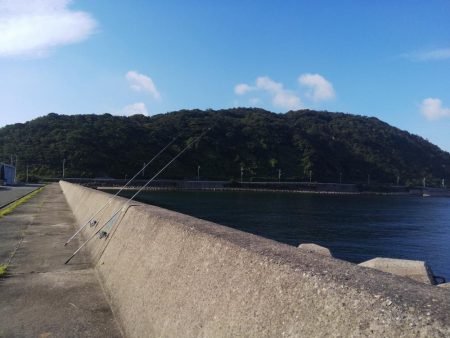 淡路島キス遠征