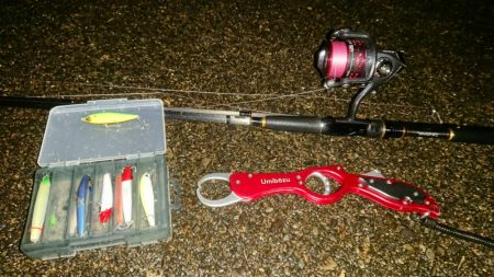 シーバス絶好調!