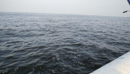 ライトショアジギングで久々の大物!?