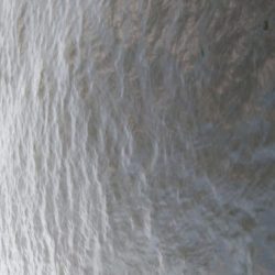 今日はアジを食す為にアジング