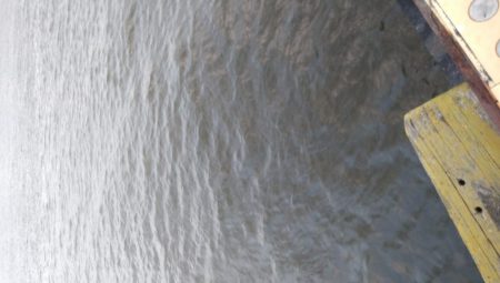 今日はアジを食す為にアジング