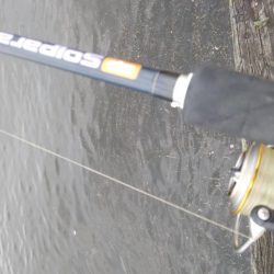 連休2日目も3目達成