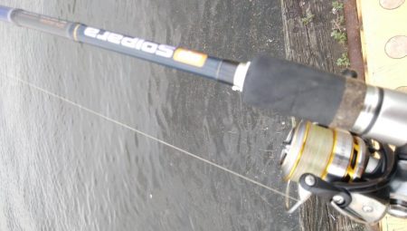 連休2日目も3目達成