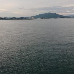 今シーズン初ツバス