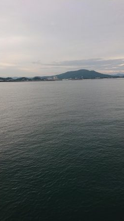 今シーズン初ツバス