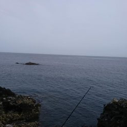 ロックフィッシュ