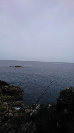 ロックフィッシュ