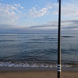 こんな日もあんだな。。