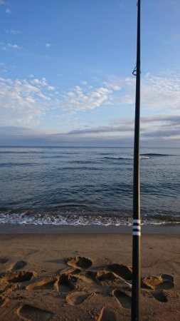 こんな日もあんだな。。