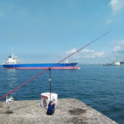 播磨新島キス調査
