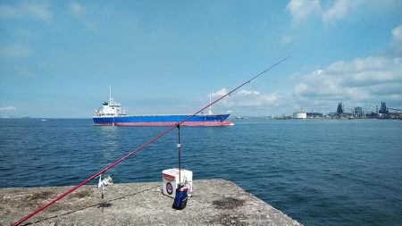 播磨新島キス調査