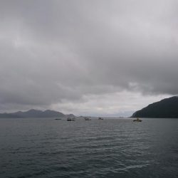 タチウオとサゴシとアジ