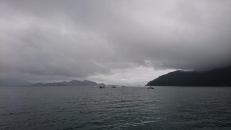 タチウオとサゴシとアジ