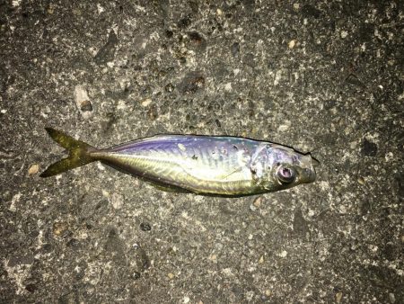 ランガンメバル