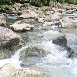 増水後を狙って