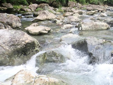 増水後を狙って