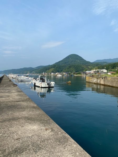 ケンサキ・アオリ狙いが・・・