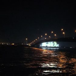 （2020/07/1 南港ヘチ釣り　キビレチヌ 31cm 釣果有り）