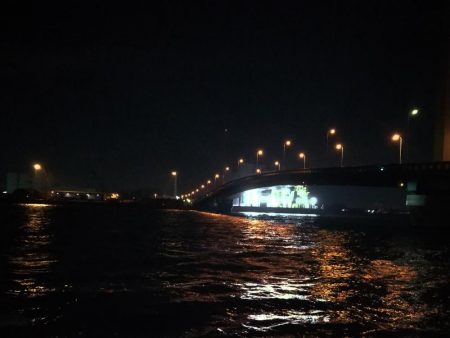 （2020/07/1 南港ヘチ釣り　キビレチヌ 31cm 釣果有り）