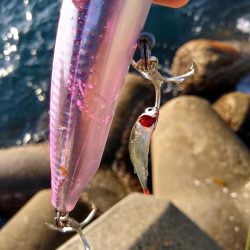 ショアジギで三目釣り