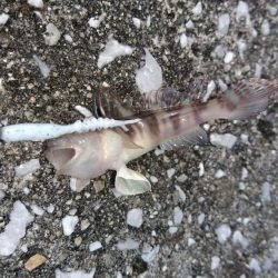 平日休暇を利用して