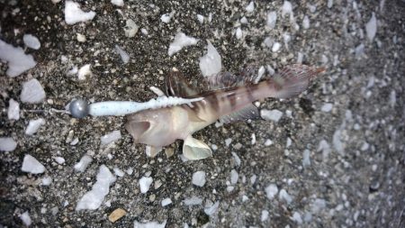 平日休暇を利用して