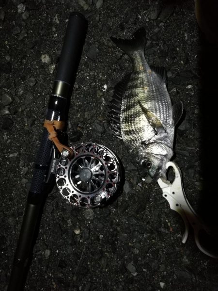 （2020/07/12 南港ヘチ釣り　 キ…