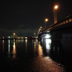 (2020/07/13 南港ヘチ釣り キビレチヌ 46cm 釣果有り)