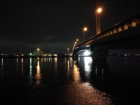 (2020/07/13 南港ヘチ釣り キビレチヌ 46cm 釣果有り)