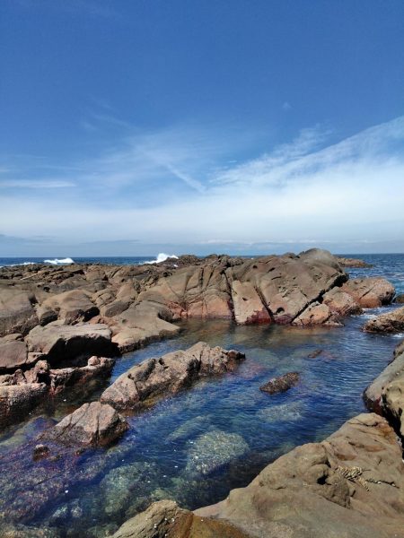 梅雨チヌ・・・