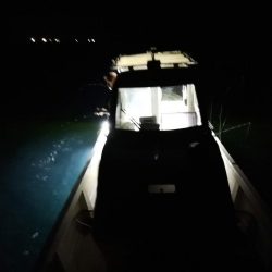 初めてのイカメタル