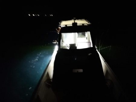 初めてのイカメタル