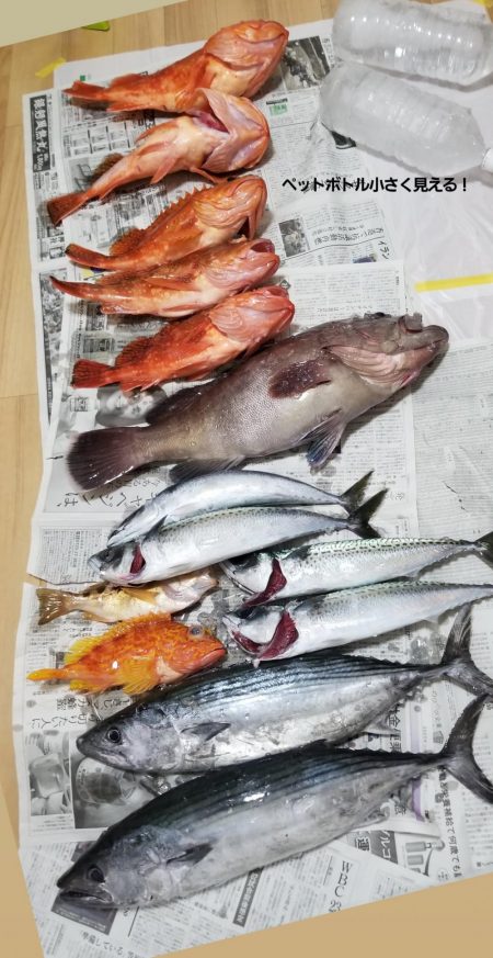 マリンホロボ周辺ジギング