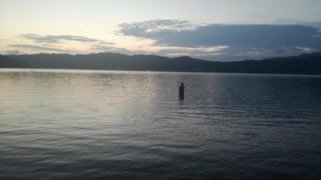 照りゴチを求めて!!