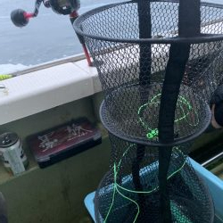 流行りのタコエギで