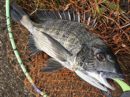 チニングゲーム