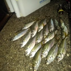 フロートゲーム