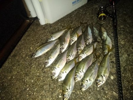 フロートゲーム