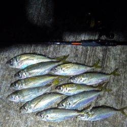 フロートゲーム